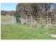 Black Springs NSW 2787