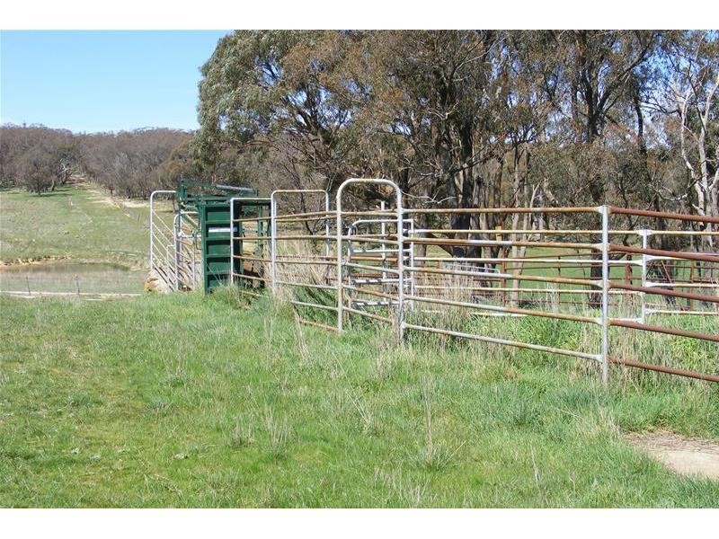 Black Springs NSW 2787
