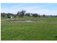 Black Springs NSW 2787