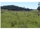 Oberon NSW 2787
