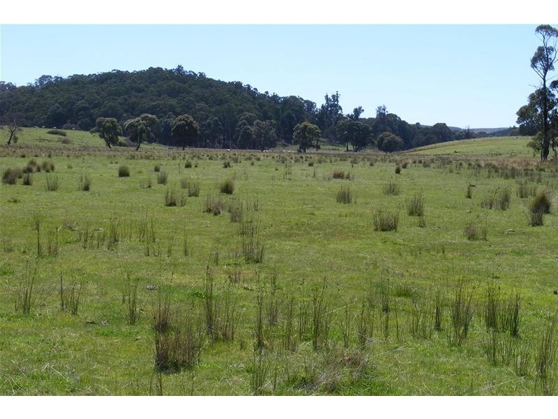 Oberon NSW 2787