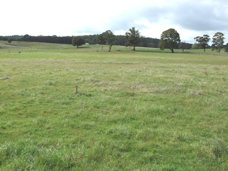 108 Rutters Ridge Road, Oberon NSW 2787