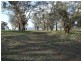 Carlwood Road, Tarana NSW 2787