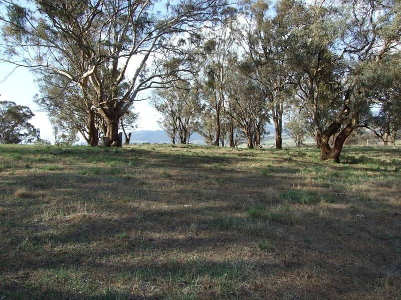 Carlwood Road, Tarana NSW 2787