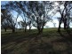 Carlwood Road, Tarana NSW 2787