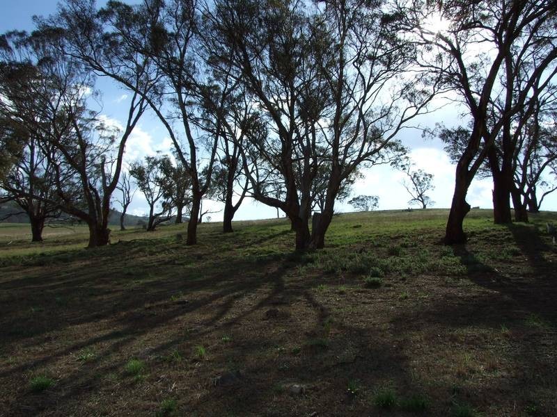 Carlwood Road, Tarana NSW 2787