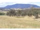 Tarana NSW 2787