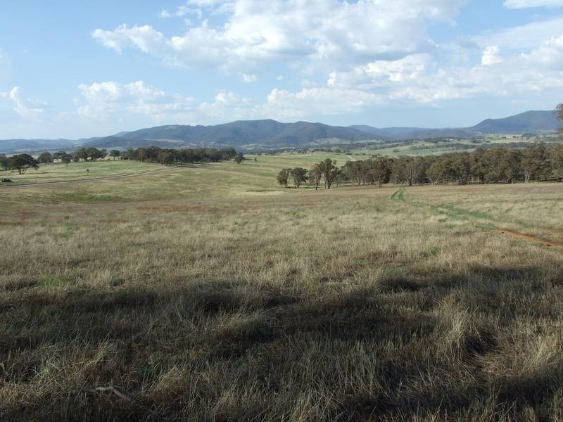 Tarana NSW 2787