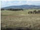 Tarana NSW 2787