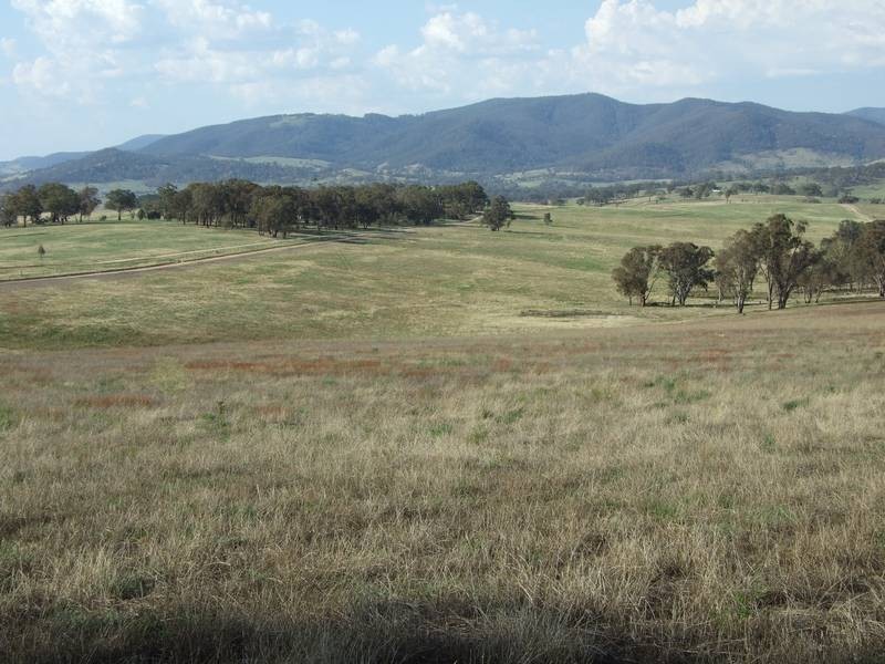 Tarana NSW 2787