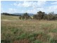 Tarana NSW 2787