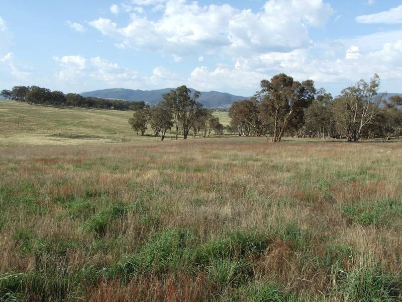 Tarana NSW 2787