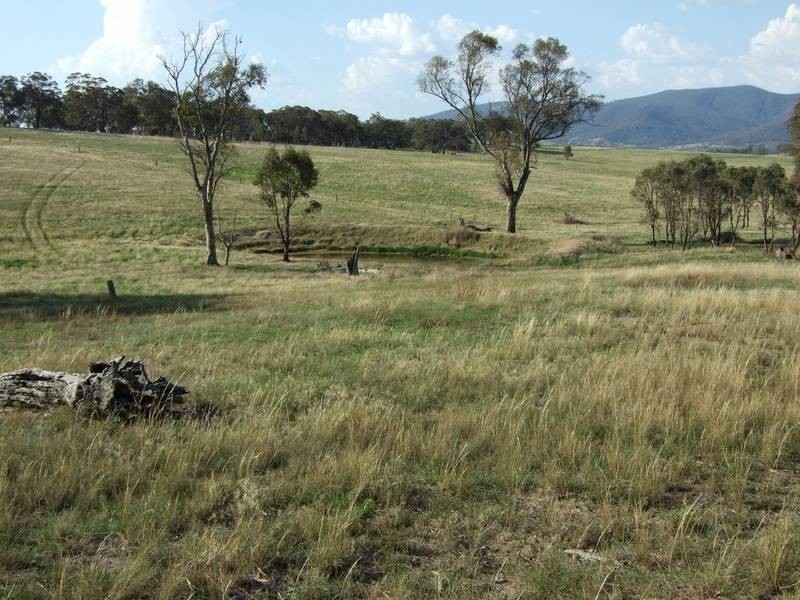 Tarana NSW 2787