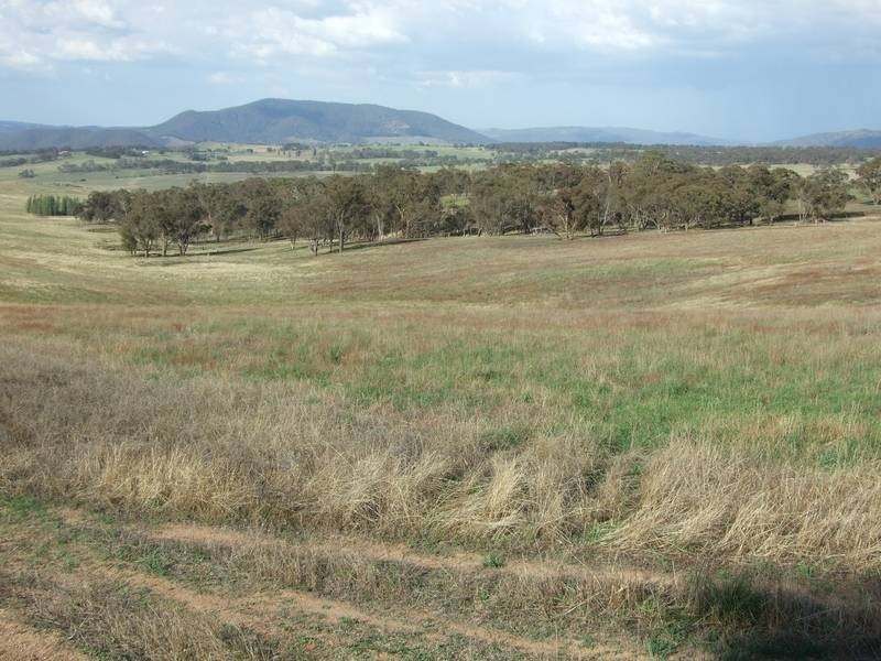 Tarana NSW 2787