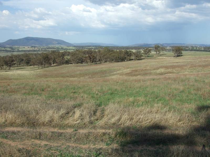 Tarana NSW 2787