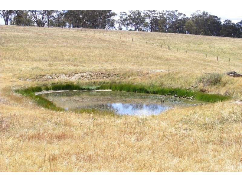 Tarana NSW 2787