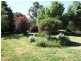 Black Springs NSW 2787
