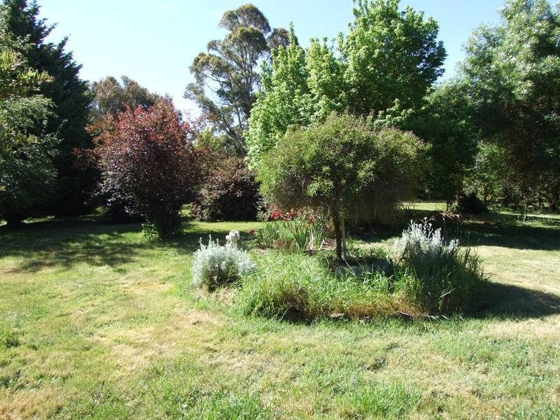 Black Springs NSW 2787