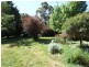 Black Springs NSW 2787
