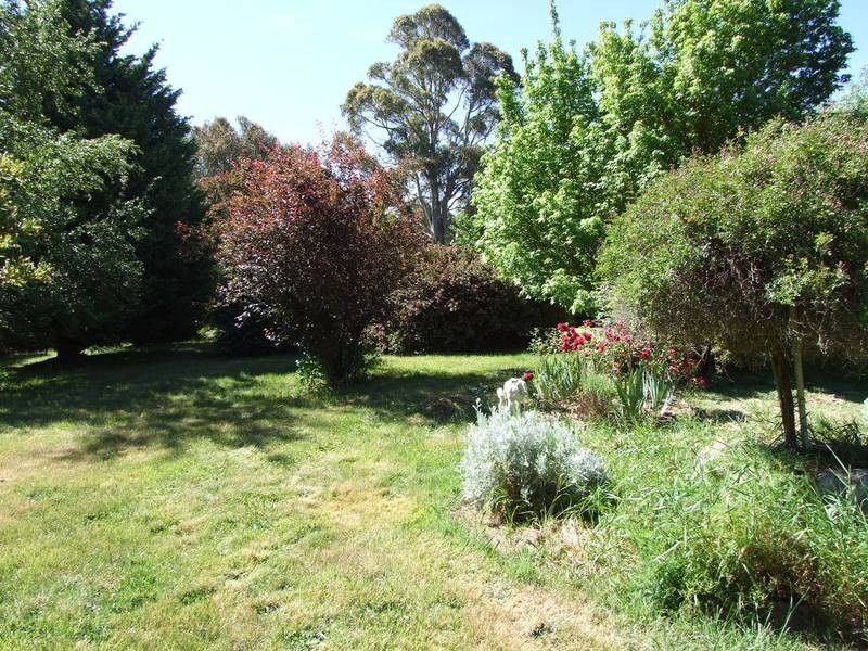 Black Springs NSW 2787