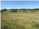 Black Springs NSW 2787