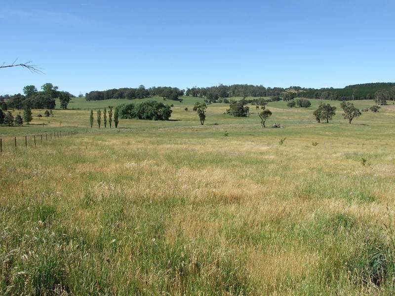 Black Springs NSW 2787