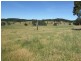 Black Springs NSW 2787