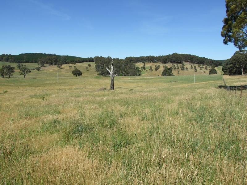 Black Springs NSW 2787