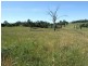 Black Springs NSW 2787