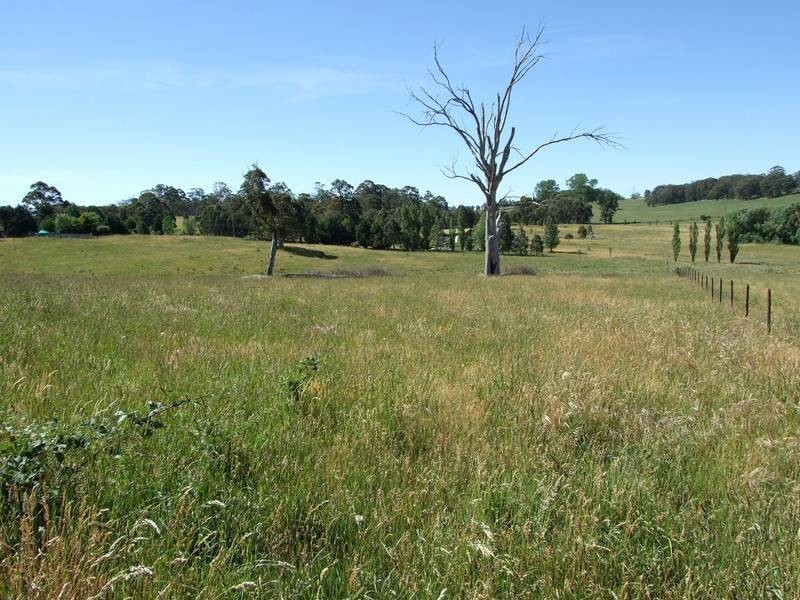 Black Springs NSW 2787