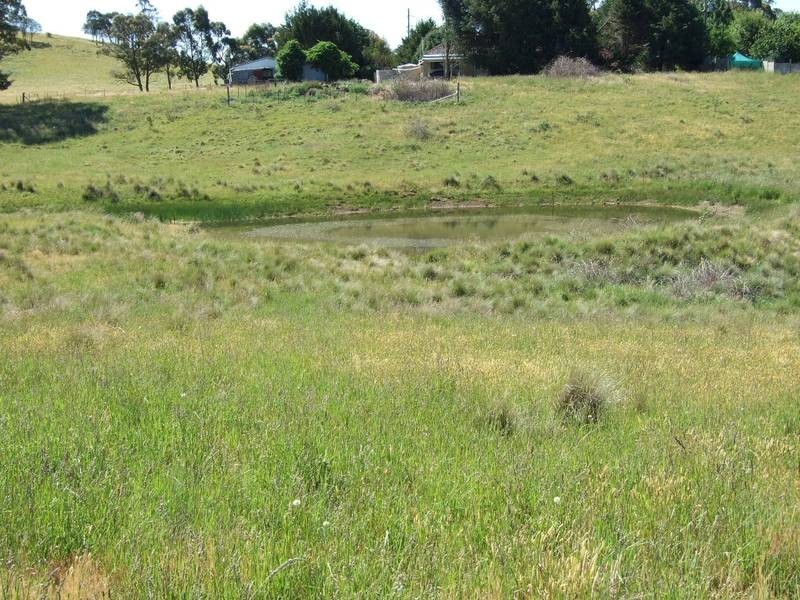 Black Springs NSW 2787