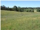 Black Springs NSW 2787