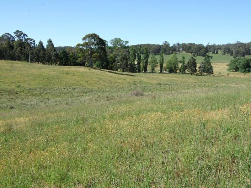 Black Springs NSW 2787