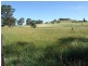 Black Springs NSW 2787