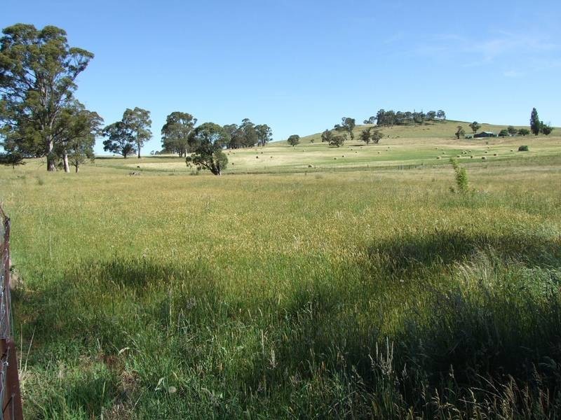 Black Springs NSW 2787