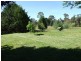 Black Springs NSW 2787