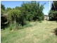 Black Springs NSW 2787