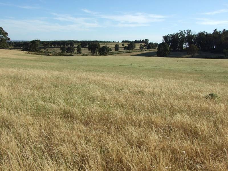 Burraga NSW 2795