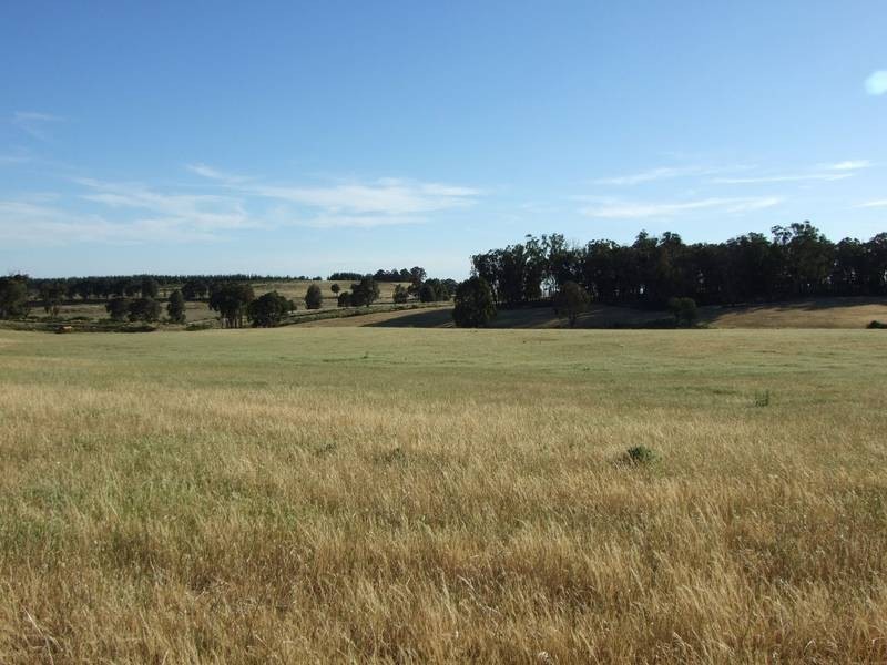 Burraga NSW 2795