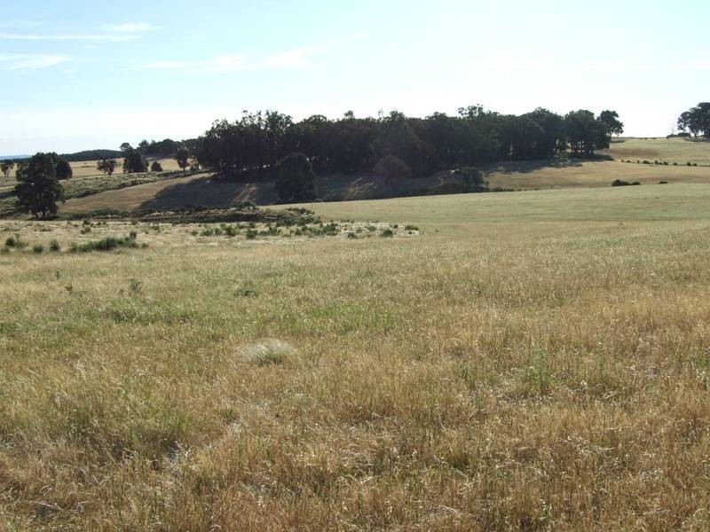 Burraga NSW 2795
