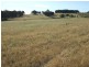 Burraga NSW 2795