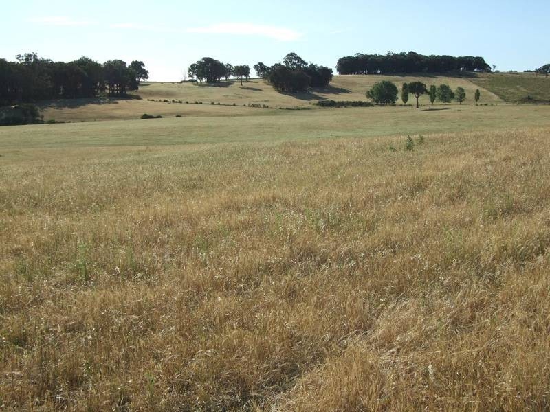Burraga NSW 2795