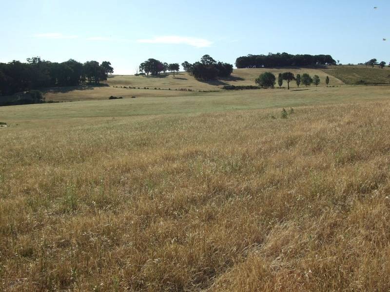 Burraga NSW 2795