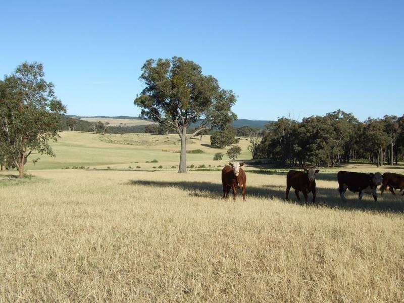 Burraga NSW 2795