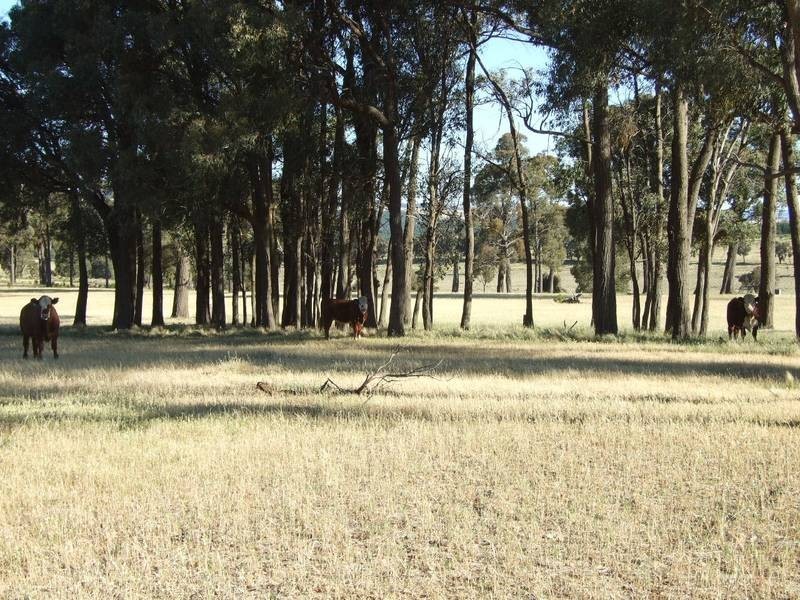 Burraga NSW 2795