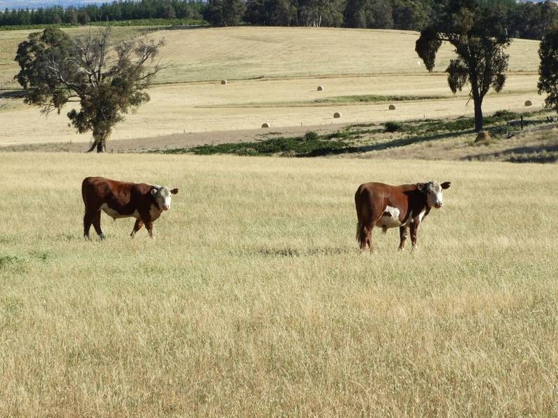 Burraga NSW 2795