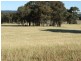 Burraga NSW 2795