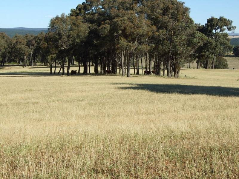 Burraga NSW 2795