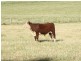 Burraga NSW 2795