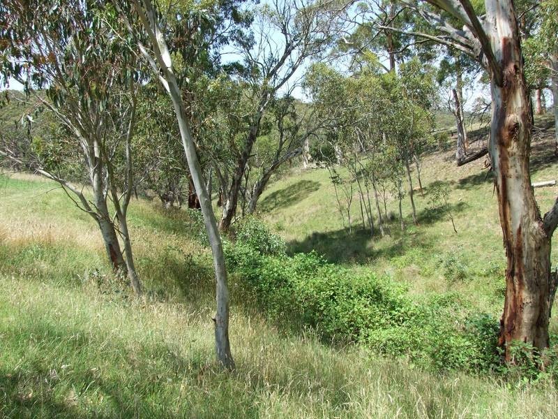 Oberon NSW 2787